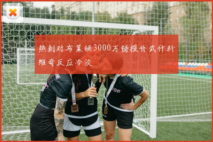 热刺对布莱顿3000万镑报价武什科维奇反应冷淡
